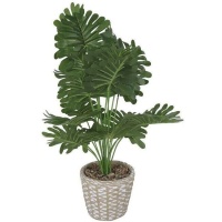 Planta artificial de monstera com vaso de cimento com rebordo 15 x 56 cm