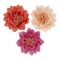 Bolacha flor de lótus 3 cores 7 cm - Dekora - 15 unidades