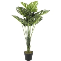 Planta artificial monstera de caule longo com vaso preto 0,90 m